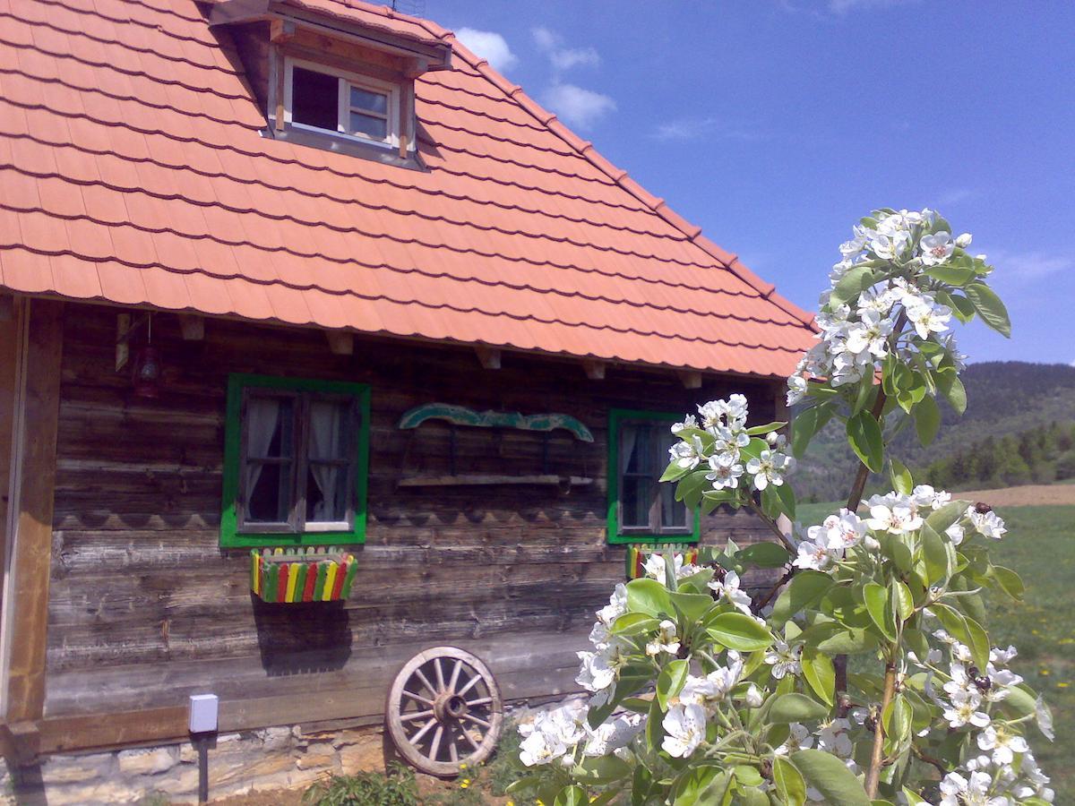 Apartments Sekler Rudno Cameră foto